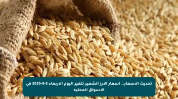 تحديث الأسعار.. أسعار الأرز الشعير تتغير اليوم الأربعاء 3-9-2025 في الأسواق المحلية